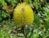 Tag 8, 24.08.2024 Vauville 