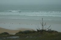 Tag 8, 24.08.2024 Vauville 