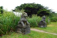 Tag 8, 24.08.2024 Vauville