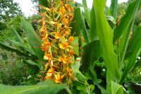 Tag 8, 24.08.2024 Zoo von Champrépus 