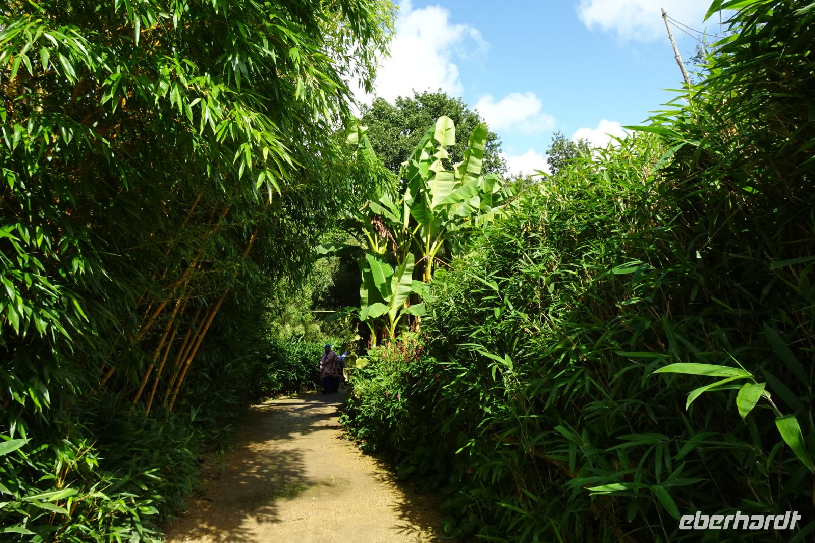 Tag 8, 24.08.2024 Zoo von Champrépus 