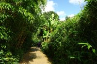 Tag 8, 24.08.2024 Zoo von Champrépus 