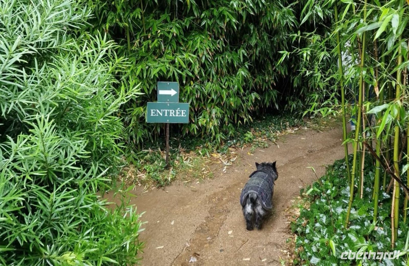 Tag 8, 24.08.2024 Vauville