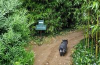 Tag 8, 24.08.2024 Vauville