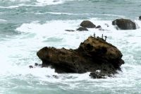 Gedenken an Schiffshavarie 