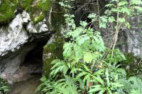 bei der Höhle von Sare