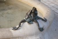 beliebtes Diebesgut: die Frösche 