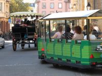 Kutsche, kleiner Zug oder zu Fuß durch Colmar