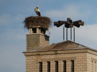 Storchenfeuerwehr von Eltvillé