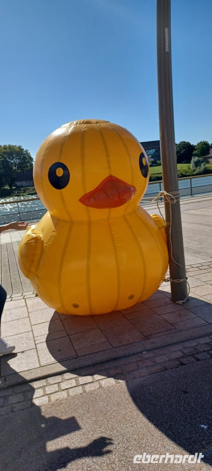 14.000 Plastikenten starten ein Wettrennen auf der Saone in Chalon