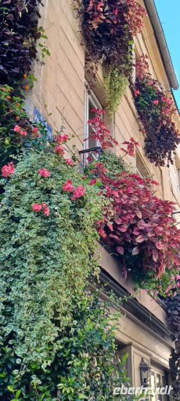 Dijon- Hausfassade in der Altstadt