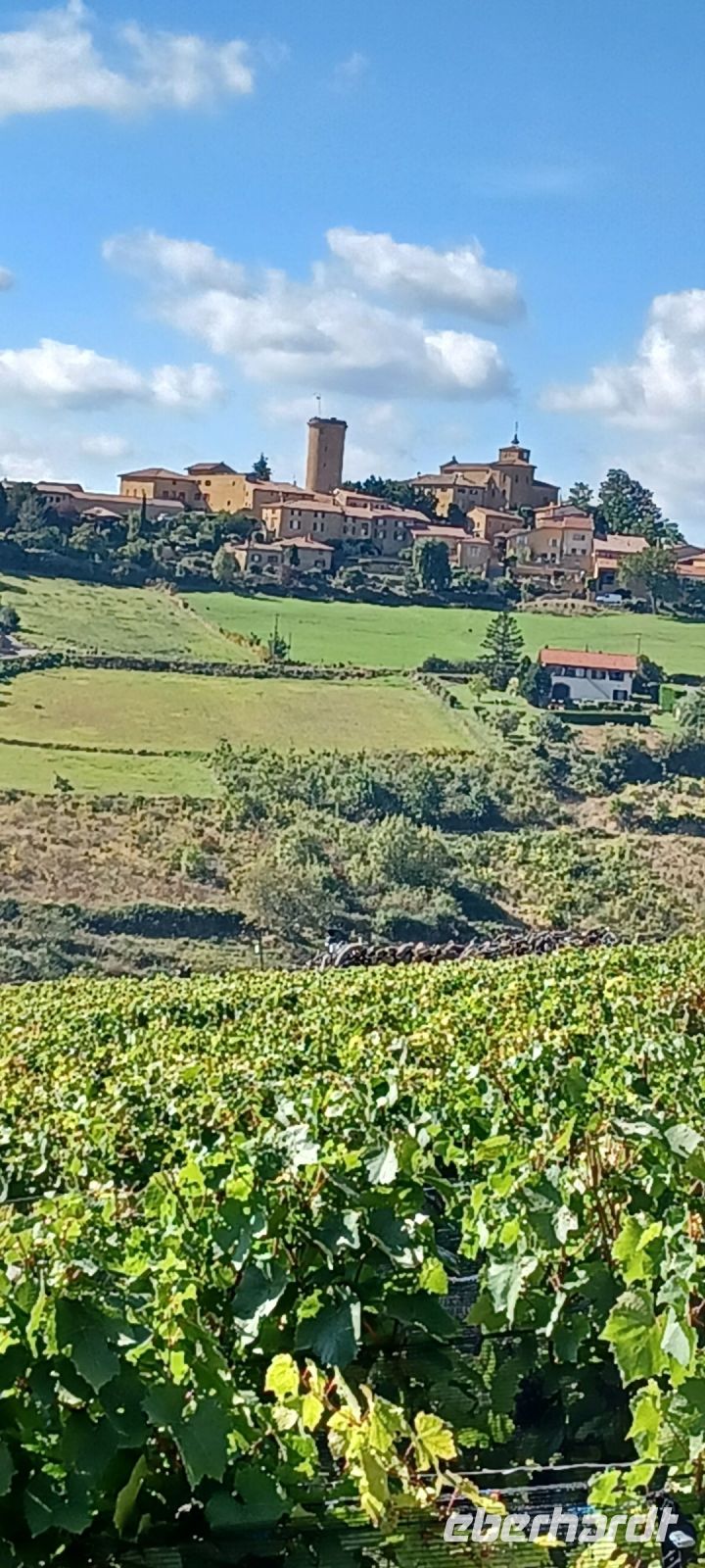 Blick auf Oingt mit Festungsturm