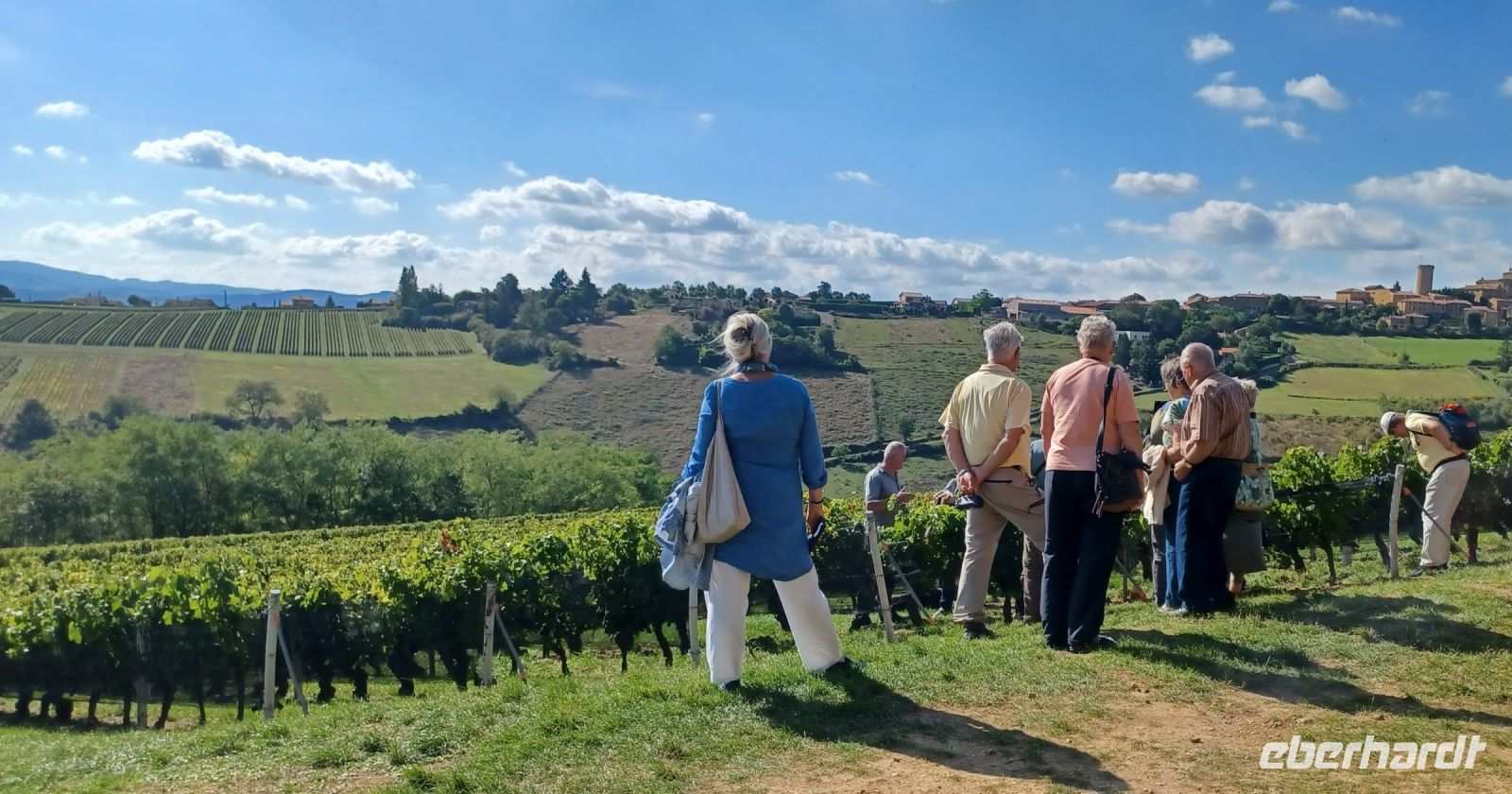 Besuch auf dem Weingut von Dominique Guillard in Oingt im Beaujolais