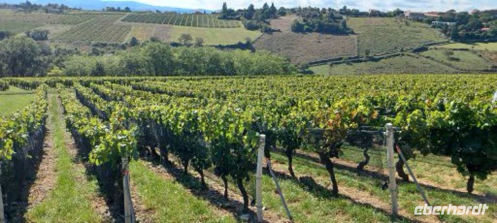 10 ha bewirtschaftet Dominique in Familie