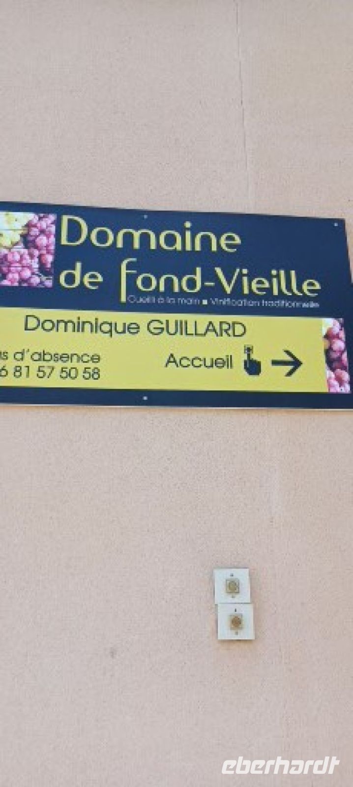 Hier geht es zur Weinprobe