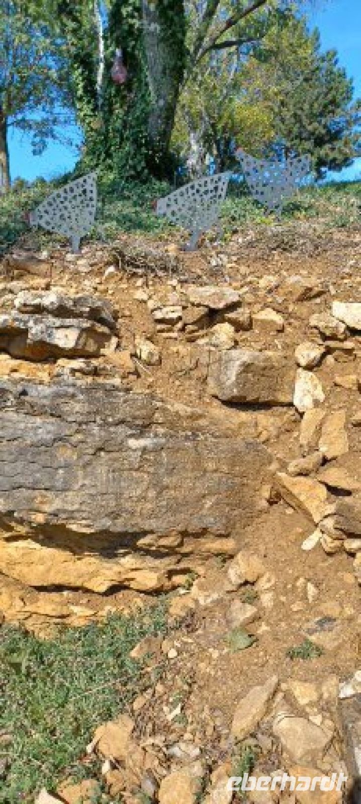 der nährstoffhaltige Kalkboden für die Rebstöcke