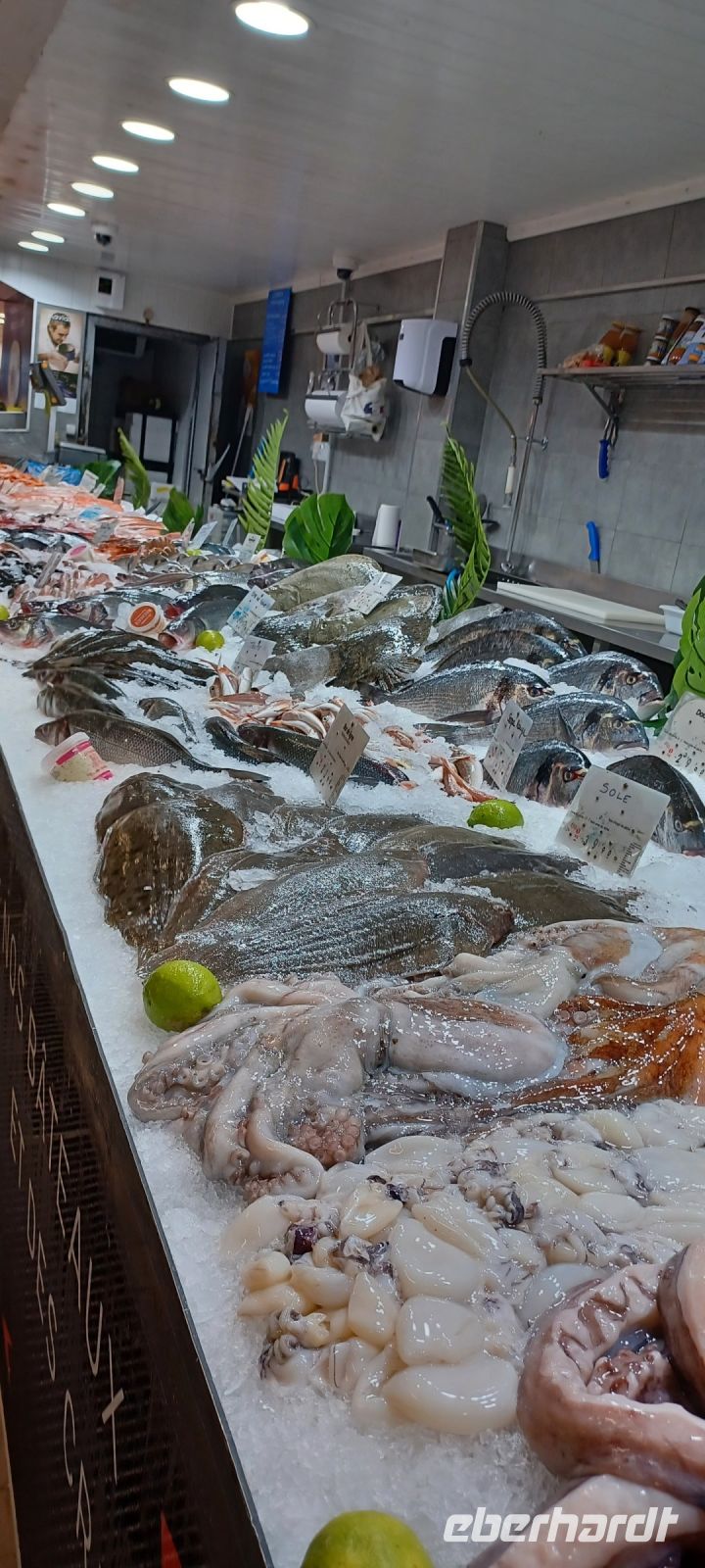 Avignon - Markthalle mit Meerestieren im Überfluss