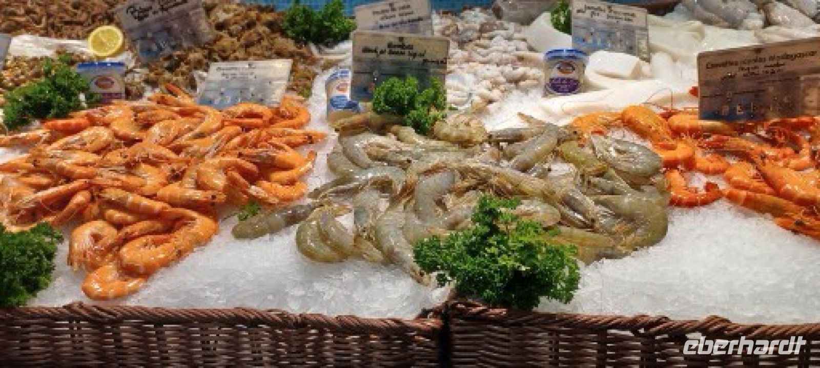 Markthalle -die Schalentiere im farbiger Zusammenstellung