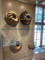 Auch das gibt es hier zu sehen