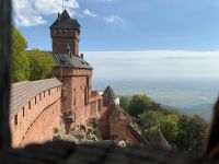 Blick auf Rhein und Schwarzwald