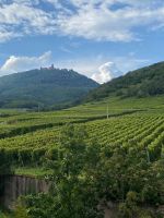 Blick vom Hotel nach Westen