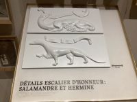 Salamander für Franz I. und Hermelin für Anne de Bretagne