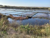 Salzbecken von Guerande