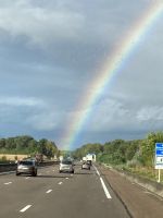 Burgund vom Feinsten - Unser treuer Begleiter