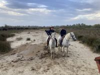 Manade Gilbert Arnaud