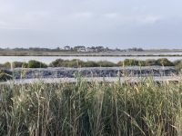 Flamingos gab es auch.