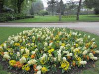 Frühling im Jardin du Luxembourg