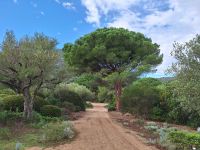 20241017_102528, und schöne, nicht kerzengerade Wege.jpg