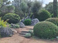 20241017_110917, kunstvoll geschnitten.jpg