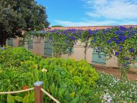 20241017_112751, es wächst und gedeiht in den prächtigsten Farben.jpg