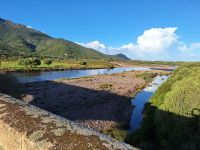 20241018_091532, auf dem Weg nach Süden.jpg