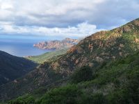 20241018_094511, zauberhafte Morgenstimmung.jpg