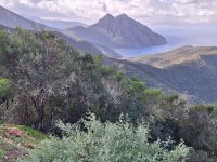 20241018_094852, die felsige Westküste Korsikas.jpg