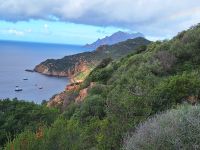 20241018_111838, welch eine Einsamkeit.jpg