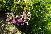 Tag 2 11.10.2024 Stadtrundfahrt Nizza 