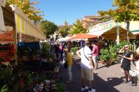 Tag 2 11.10.2024 Stadtrundgang Nizza, Blumenmarkt