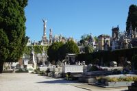 Tag 2 11.10.2024 Stadtrundgang Nizza, Friedhof