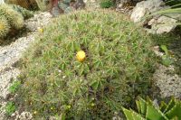 Tag 3 12.10.2024 Ausflug nach Èze