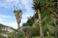 Tag 3 12.10.2024 Ausflug nach Èze