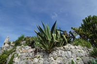 Tag 3 12.10.2024 Ausflug nach Èze