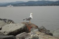 Tag 5 14.10.2024 St. Tropez 