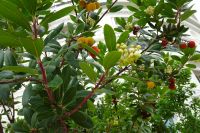 Tag 6 15.10.2024 Rundfahrt Monaco (148)