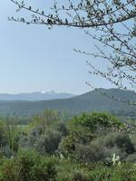 11.04.: Wanderung durch die Agriates-Wüste