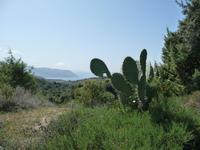 11.04.: Wanderung durch die Agriates-Wüste