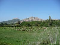 11.04.: Wanderung durch die Agriates-Wüste