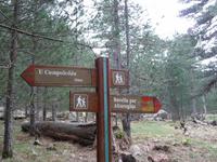 Wanderung zum Felsenloch